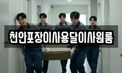 천안포장이사용달이사원룸