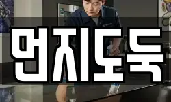 먼지도둑