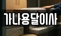 가나용달이사