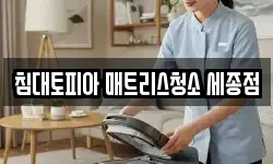침대토피아 매트리스청소 세종점