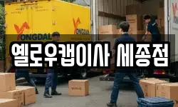 옐로우캡이사 세종점