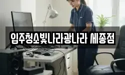 입주청소빛나라광나라 세종점