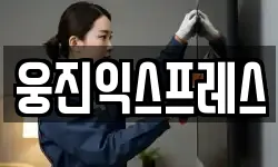 웅진익스프레스