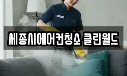 세종시에어컨청소 클린월드