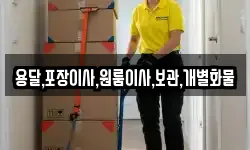 용달,포장이사,원룸이사,보관,개별화물