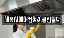 세종시에어컨청소 클린월드