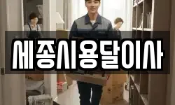 세종시용달이사