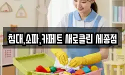 침대,소파,카페트 새로클린 세종점