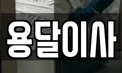 용달이사