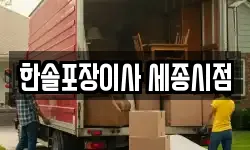 한솔포장이사 세종시점