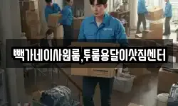 빽가네이사원룸,투룸용달이삿짐센터