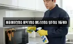 세종에어컨청소 세탁기청소 매트리스청소 입주청소 거둠케어
