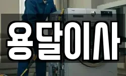 용달이사