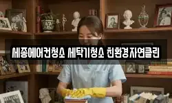 세종에어컨청소 세탁기청소 친환경자연클린