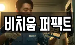 비치움 퍼팩트