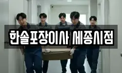 한솔포장이사 세종시점
