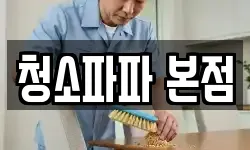 청소파파 본점