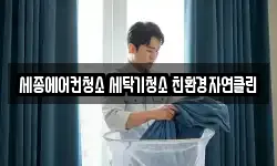 세종에어컨청소 세탁기청소 친환경자연클린