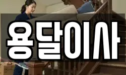 용달이사