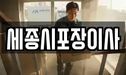 세종시포장이사