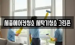 세종에어컨청소 세탁기청소 그린존