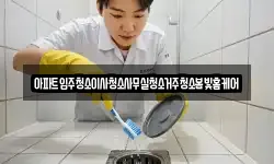 아파트입주청소이사청소사무실청소거주청소봄빛홈케어