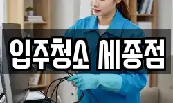 입주청소 세종점