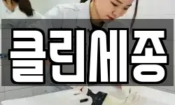 클린세종