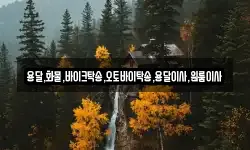 용달,화물,바이크탁송,오토바이탁송,용달이사,원룸이사