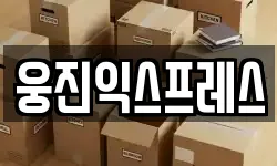 웅진익스프레스