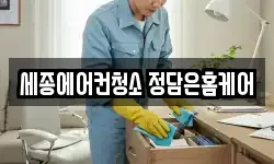 세종 다정동 청소,입주청소,사무실청소,에어컨청소