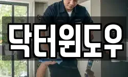 닥터윈도우