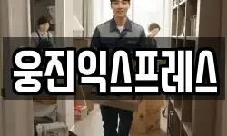 웅진익스프레스