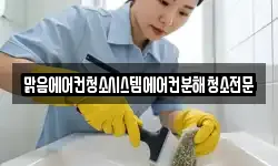 맑음에어컨청소시스템에어컨분해청소전문