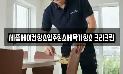 세종에어컨청소입주청소세탁기청소 크리크린
