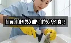 세종에어컨청소 세탁기청소 우렁총각