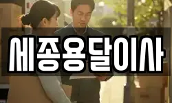 세종용달이사