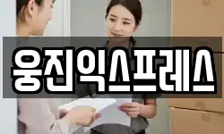 웅진익스프레스