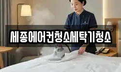 세종에어컨청소세탁기청소