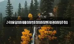 24시용달이사원룸이사반포장이사짐센터보관이사입주청소