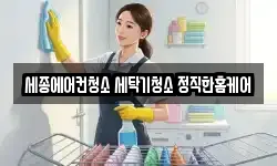 세종에어컨청소 세탁기청소 정직한홈케어