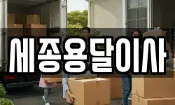 세종용달이사