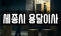 세종시 용달이사