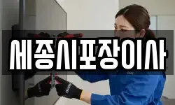 세종시포장이사