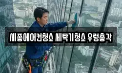 세종에어컨청소 세탁기청소 우렁총각
