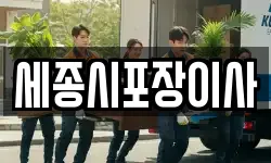 세종시포장이사