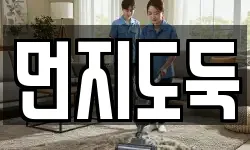먼지도둑