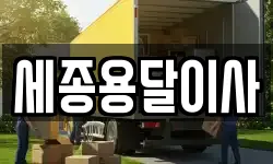세종용달이사