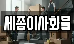 세종이사화물