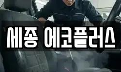 세종 에코플러스